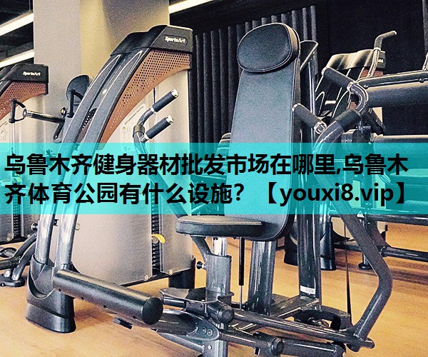 乌鲁木齐健身器材批发市场在哪里,乌鲁木齐体育公园有什么设施？