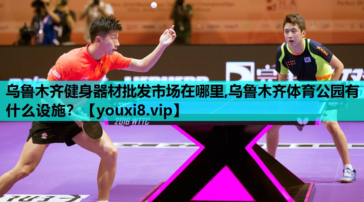 乌鲁木齐健身器材批发市场在哪里,乌鲁木齐体育公园有什么设施？