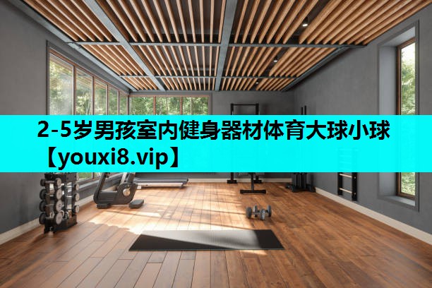 2-5岁男孩室内健身器材体育大球小球