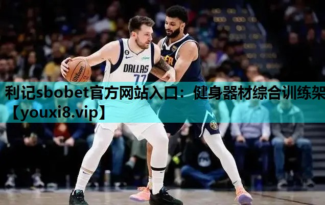 利记sbobet官方网站入口：健身器材综合训练架