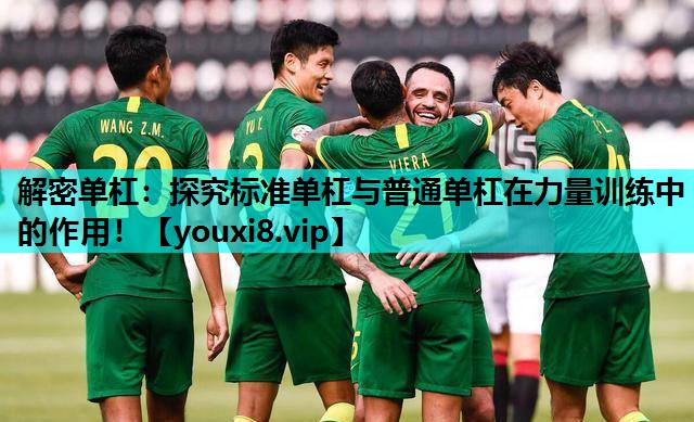 解密单杠：探究标准单杠与普通单杠在力量训练中的作用！