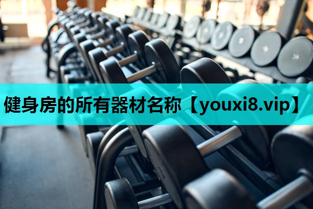 健身房的所有器材名称